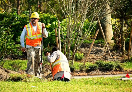 Constructing the fiber network Constructing-the-fiber-paths-in-your-neighborhood